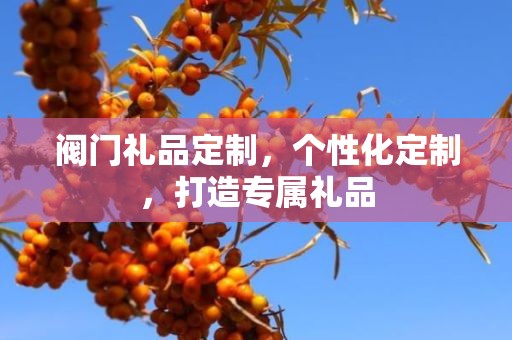 阀门礼品定制，个性化定制，打造专属礼品