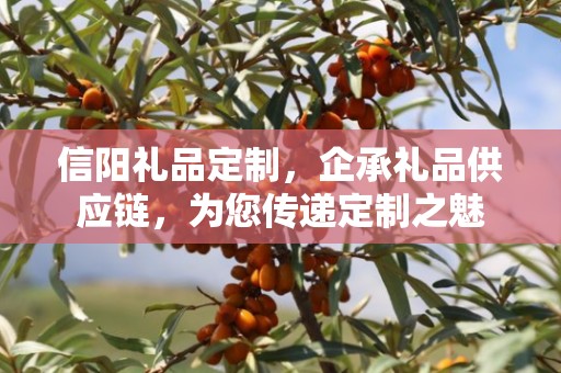 信阳礼品定制，企承礼品供应链，为您传递定制之魅
